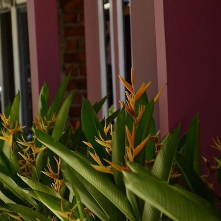 Baronda Guest House Sorong Exterior foto